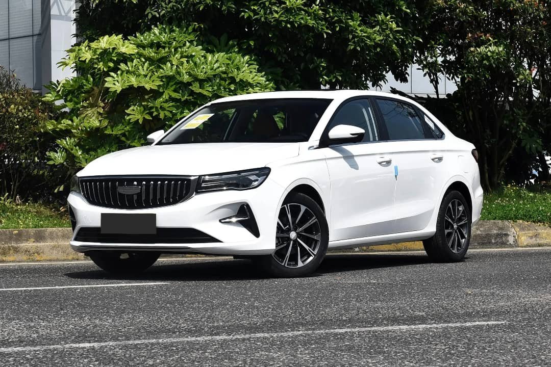 whatsapp image 2026 01 19 at 14.26.03 (3)