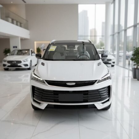 photo 2026 03 11 02 37 01